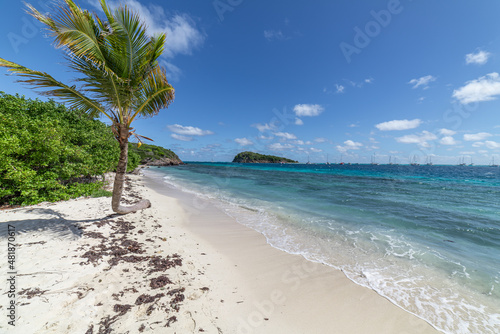 Saint Vincent and the Grenadines, Tobago Cays