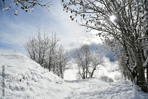 Paysage d'hiver - Alpes françaises © thibhou