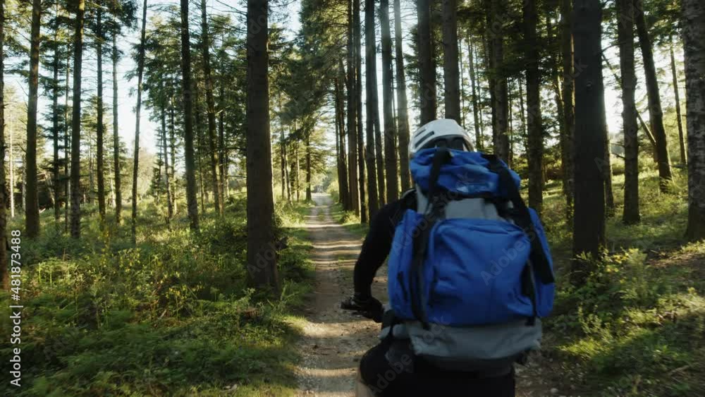 custom made wallpaper toronto digitalBoy rides a bicycle in the mountains with blue backpack