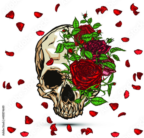 Hand drawn illustration of red roses covering half skull with falling petals in modern tattoo style design. 