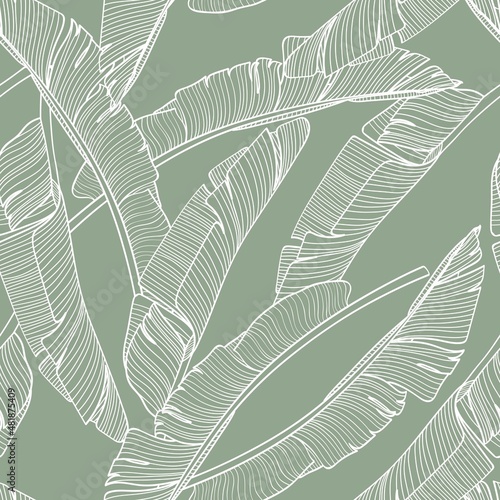 Botanical seamless pattern, hand drawn line art banana leaves on green. Printable wallpaper or textile illustration.