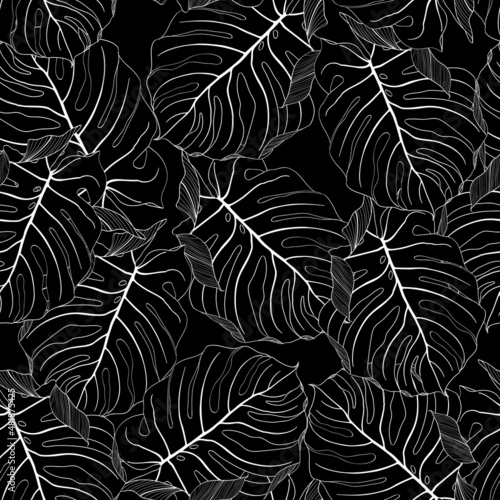 Floral seamless pattern, black line split-leaf Monstera plant background, line art ink drawing.