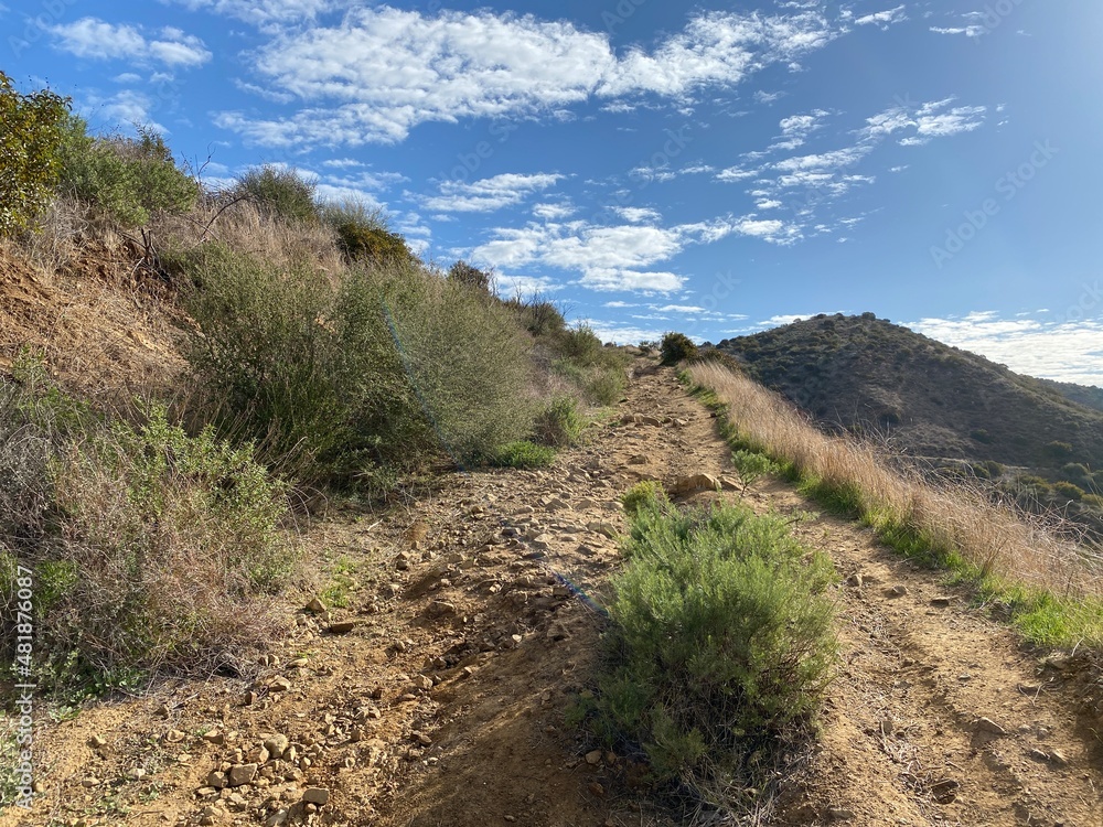 Large shrub on rocky trail leading up in the Santa Monica Mountains, Point Mugu State Park, California. Small white clouds overhead