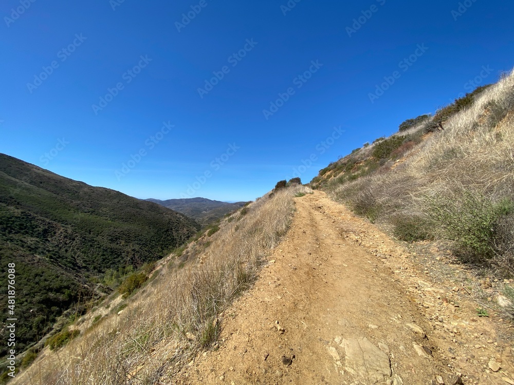 Trail leading up in the Santa Monica Mountains, Point Mugu State Park, California, with clear blue sky overhead