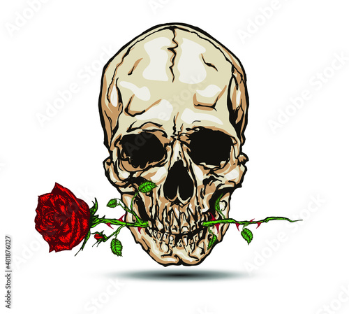 Skull biting a rose. Hand drawn vector illustration in tattoo style.