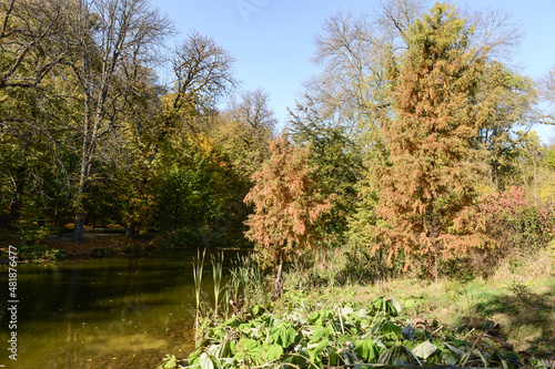 Beautiful view of lake in a...