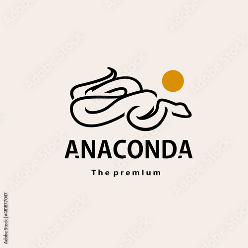 vintage retro hipster anaconda logo vector outline monoline art icon