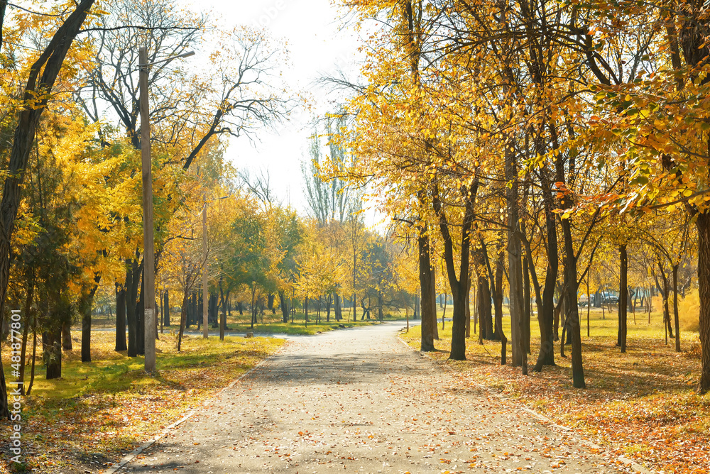Naklejka premium Beautiful city park on autumn day