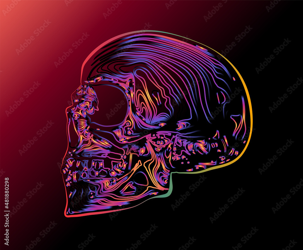 Colorful vector blue to red gradient line skull isolated on dark background.