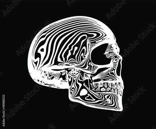 Vector white line skull on black background with white water ripple rings.