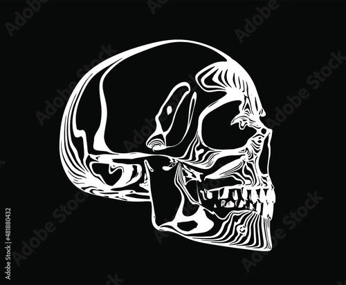 Vector white line skull on black background with white water ripple rings.