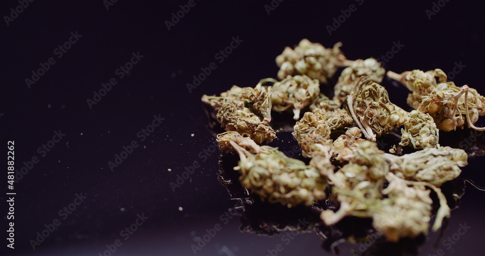 Close up of Cannabis Rotating on Black Background.