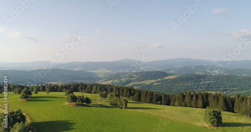 Blue Sky and Forest Drone Shot from Above. Beautiful Landscape View.