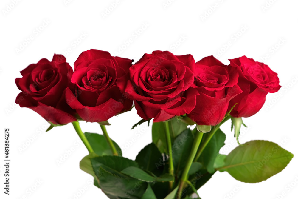 Bouquet of Red Roses in a Vase Isolated on a White Background Bouquet of Red Roses in a Vase Isolated on a White Background