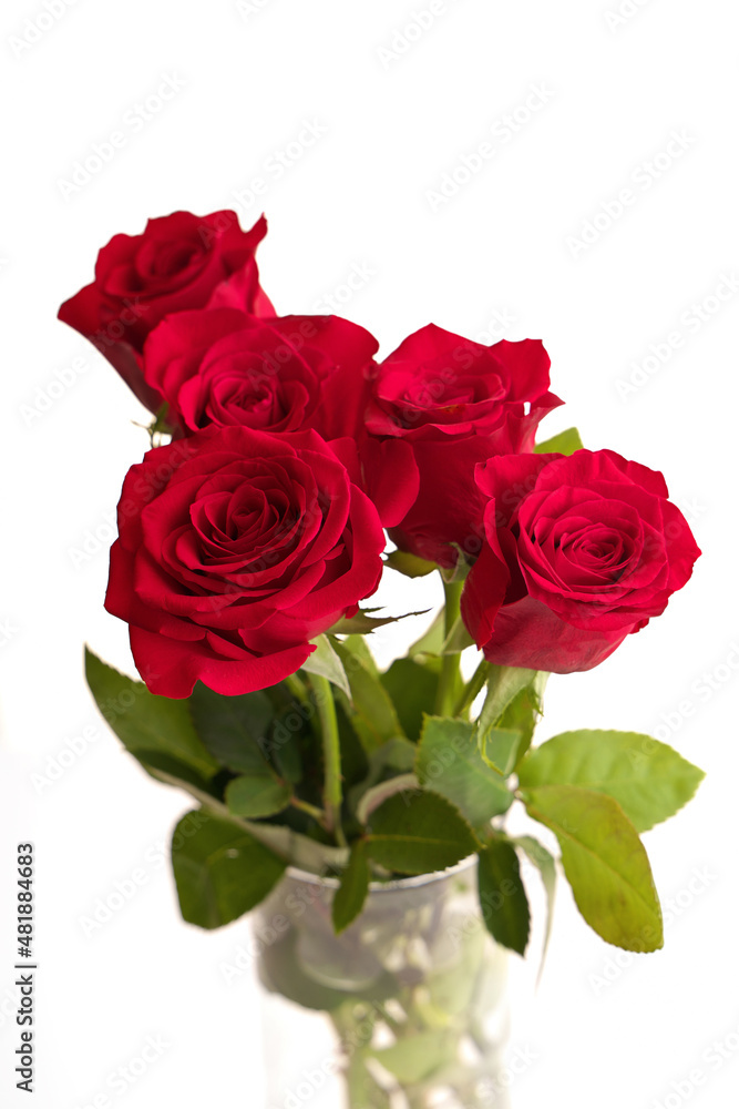 Bouquet of Red Roses in a Vase Isolated on a White Background Bouquet of Red Roses in a Vase Isolated on a White Background