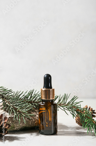 Bottle of essential oil and fir branch on light background  closeup