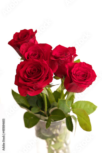 Bouquet of Red Roses in a Vase Isolated on a White Background