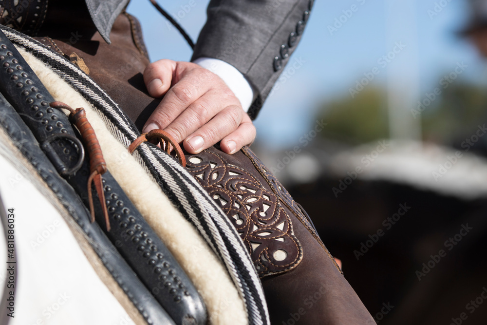 Fototapeta premium Detail of the hand of a rider and his Zahon in the traditional doma vaquera
