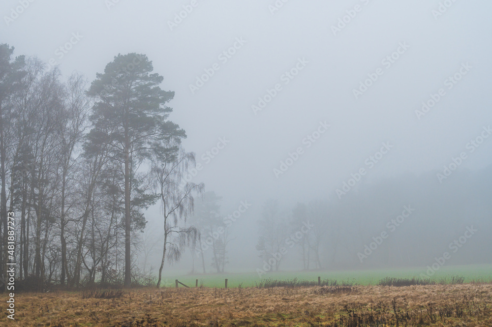 Fototapeta premium Celle, 21.01.2022