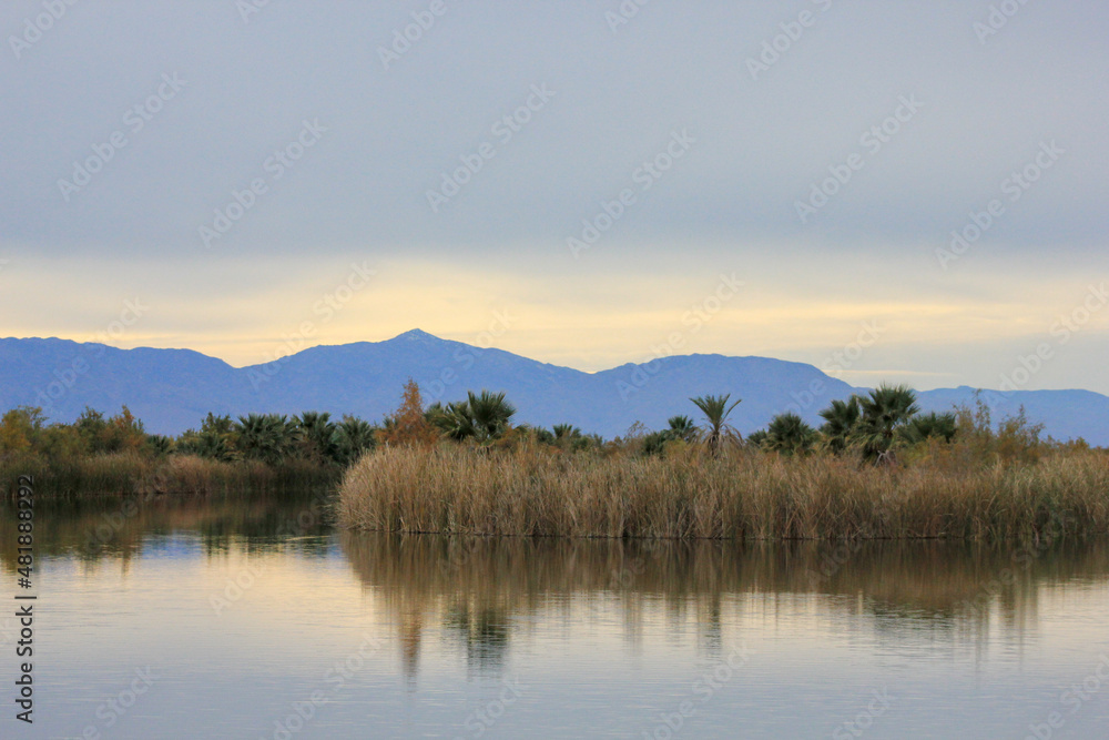 Desert oasis pond with palm trees and plants mountains silhouette