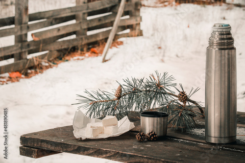 Drinking hot tea in a pine forest breakfast