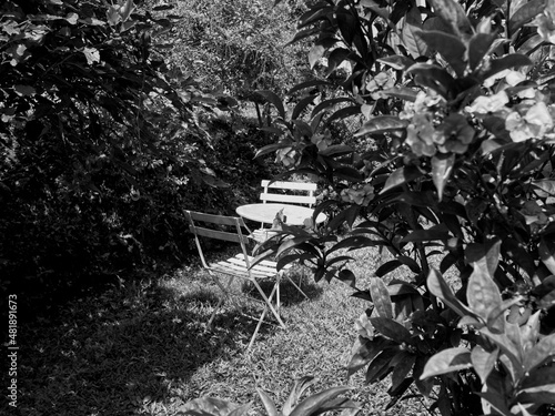 Black and white of a round, white metal table and two chairs in a tropical garden in San Jose, Puerto Rico. photo