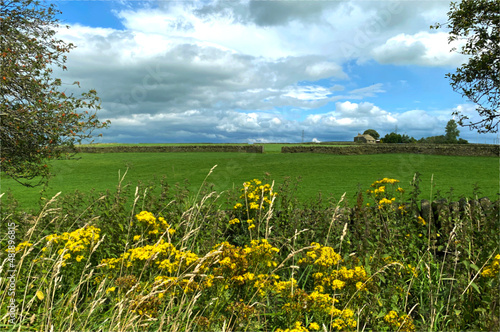 View with, wild yellow flowers, green fields, and a cloudy sky near, Denholme, Keighley, UK photo