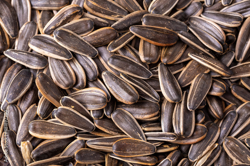 Salted sunflower seeds on a...