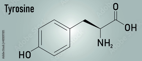 Tyrosine or l-tyrosine, Tyr, Y, amino acid molecule. Skeletal formula.