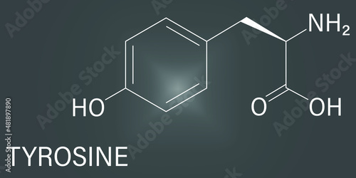 Tyrosine or l-tyrosine, Tyr, Y, amino acid molecule. Skeletal formula.