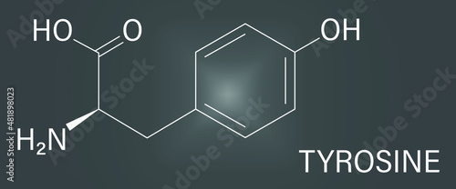 Tyrosine or l-tyrosine, Tyr, Y, amino acid molecule. Skeletal formula.