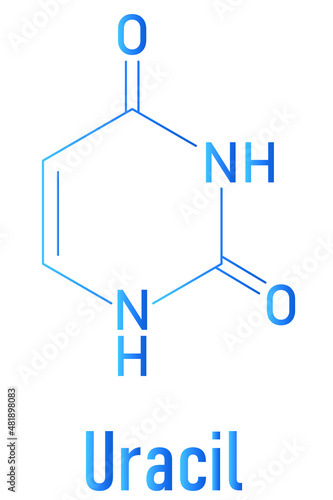 Uracil nucleobase molecule. Present in ribonucleic acid. Skeletal formula.