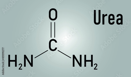 Urea or carbamide molecule. Used in cosmetics, fertilizer; present in urine. Skeletal formula.
