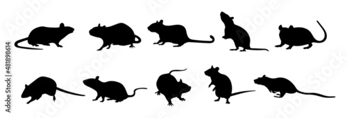 Rodent rat silhouette vector set photo