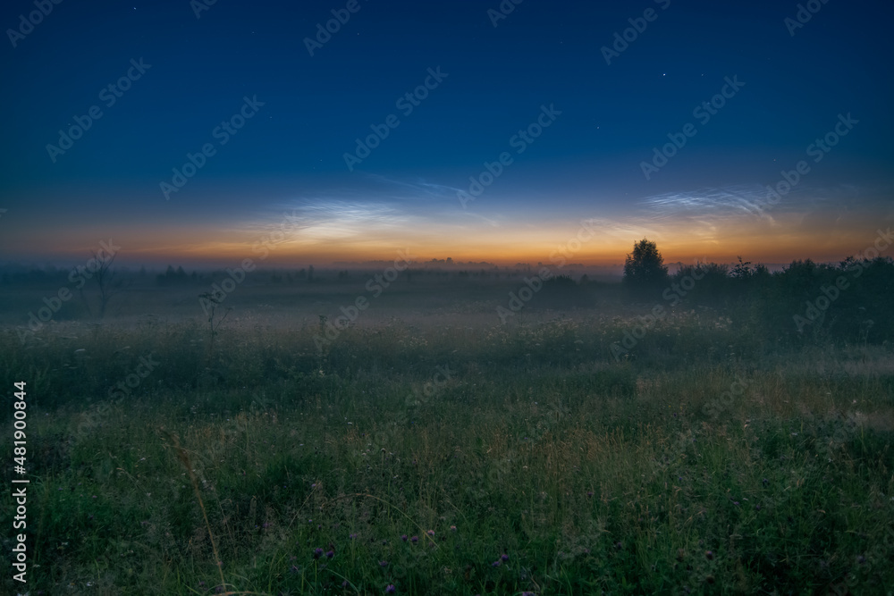 Noctilucent clouds over misty field