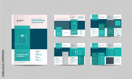 Brochure Design or Annual Report and Company Profile Design