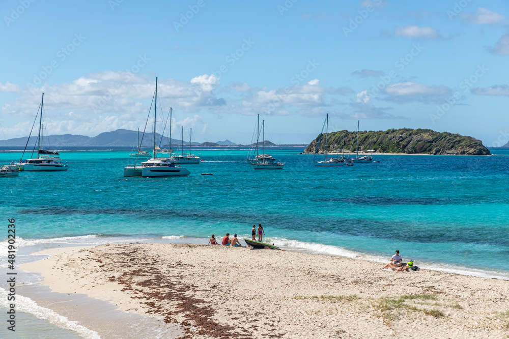 Saint Vincent and the Grenadines, Tobago Cays Saint Vincent and the Grenadines, Tobago Cays