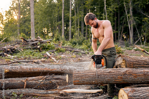 working hard. firewood at campsite. outdoor activity. strong muscular european lumberjack man with electric saw. shirtless woodcutter man carry equipment. sexy caucasian guy in forest photo