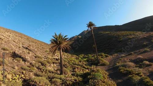FPV drone flight at the foot of the Tamadaba natural park in Gran Canaria. It is a virgin territory where nature enjoys in all its splendor photo