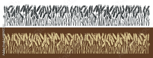 Wheat field, wheat ears. Background for farm or bakery. Hand drawn sketch seamless pattern vector illustration