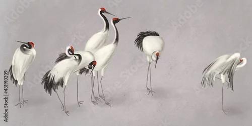 Fototapeta White cranes dark gray background. Abstract watercolor paint background grunge texture. Interior Wallpaper. Mural for the walls, fresco for the room, interior grunge style