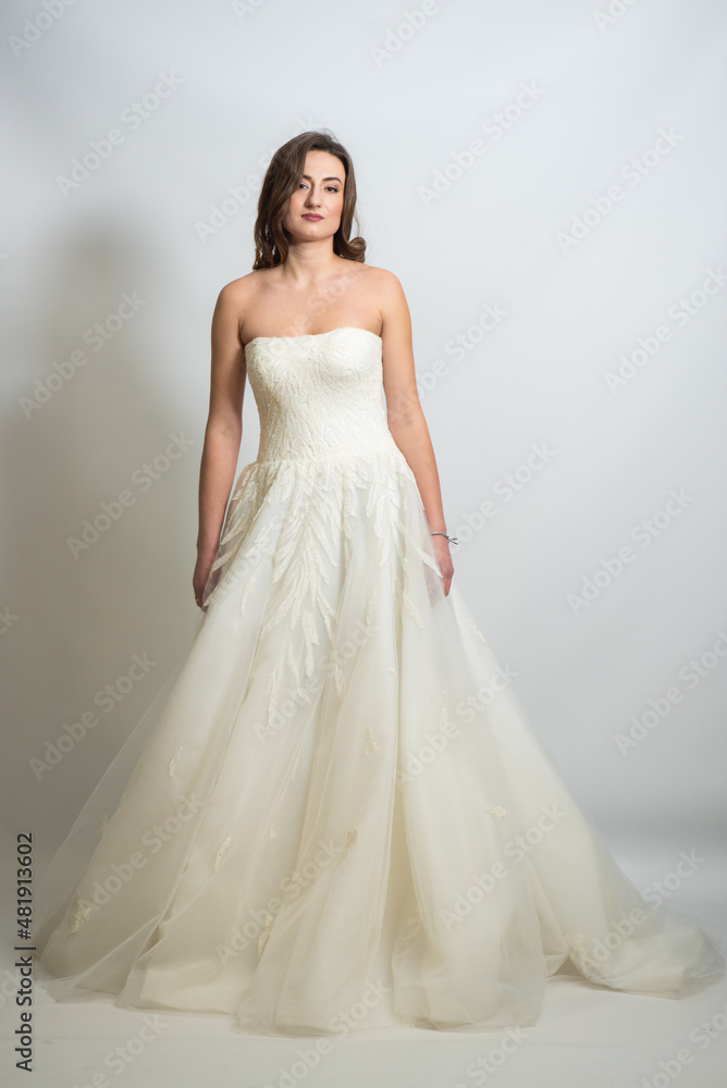 Beautiful bride perfect style. Wedding hairstyle make-up luxury wedding dress. Young attractive Caucasian model like a bride isolated on white background
Beautiful bride perfect style. Wedding hairstyle make-up luxury wedding dress. Young attractive Caucasian model like a bride isolated on white background