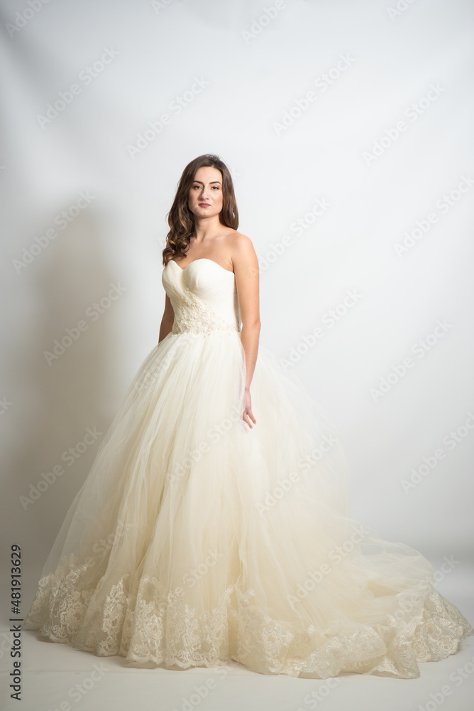 Beauty young bride white wedding dress