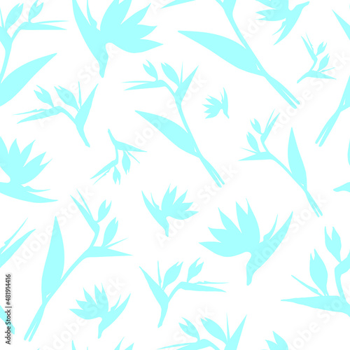 Fototapeta Naklejka Na Ścianę i Meble -  Vector seamless strelitzia flower pattern. Pale blue tropical flowers isolated on white background. Strelitzia, bird of paradise, crane lily. Design for fashion textile, wallpapers.