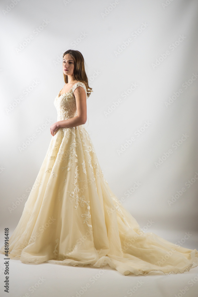 Fototapeta premium Beauty portrait of bride wearing fashion wedding dress with feathers with luxury delight make-up and hairstyle, studio indoor photo. 