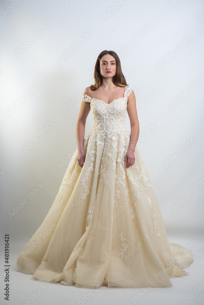 Fototapeta premium Beauty portrait of bride wearing fashion wedding dress with feathers with luxury delight make-up and hairstyle, studio indoor photo. 