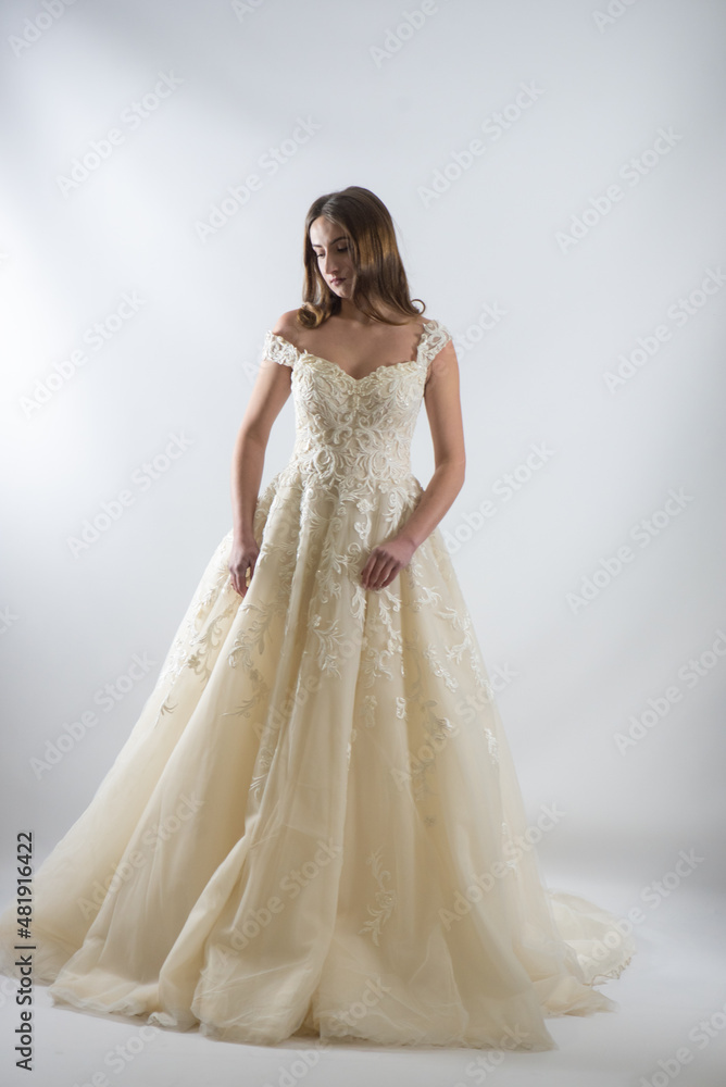 Beauty portrait of bride wearing fashion wedding dress with feathers with luxury delight make-up and hairstyle, studio indoor photo. Beauty portrait of bride wearing fashion wedding dress with feathers with luxury delight make-up and hairstyle, studio indoor photo.