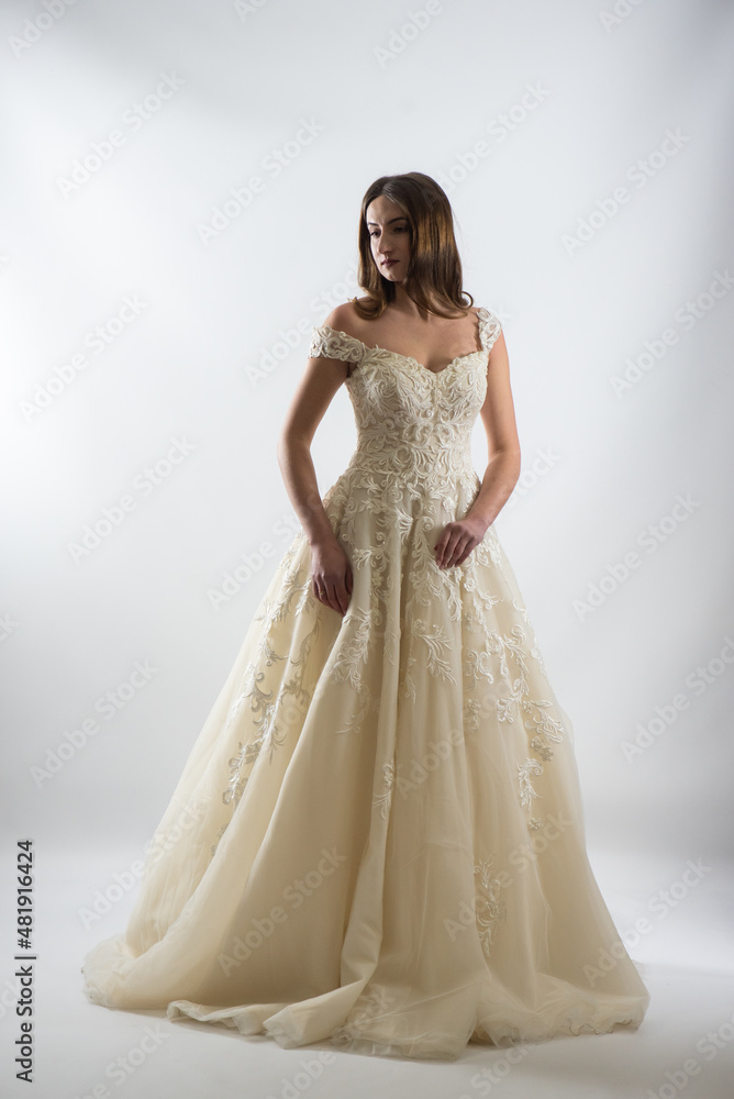Beauty portrait of bride wearing fashion wedding dress with feathers with luxury delight make-up and hairstyle, studio indoor photo. Beauty portrait of bride wearing fashion wedding dress with feathers with luxury delight make-up and hairstyle, studio indoor photo.