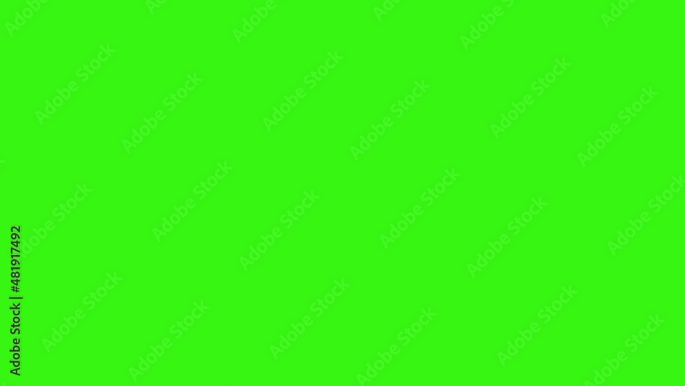 Group of spring flowers animation elements on green screen chroma key Group of spring flowers animation elements on green screen chroma key