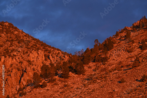 Eastern Sierra Foothills bathed in early morning light. © Joseph